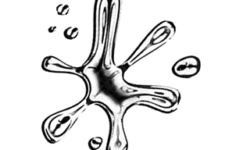 Photo of The House of Liquid Mercury – Talent Group Photo of The House of Liquid Mercury – Talent Group